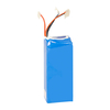 ODM-kundenspezifischer 12V 5Ah 10Ah 12Ah kleiner Lithium-Akku